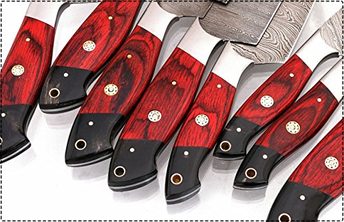 GladiatorsGuild G16Red- Professional Kitchen Knives Custom Made Damascus Steel pcs of Professional Utility Chef Kitchen Knife Set with Chopper/Cleaver Black Horn (at end) (8, Red)