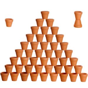 besttoyhome 48 pcs small mini clay pots 2'' terracotta pot clay ceramic pottery planter cactus flower pots succulent nursery pots- great plants,crafts,wedding favor