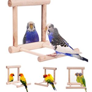 HAPPTYTOY Bird Toy for Parrot Parakeets Conures Cockatiels Cage Swing Wooden Fun Play Toy for Birds (Mirror)