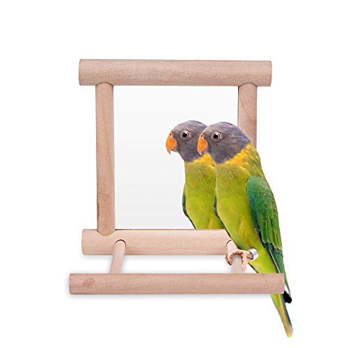 HAPPTYTOY Bird Toy for Parrot Parakeets Conures Cockatiels Cage Swing Wooden Fun Play Toy for Birds (Mirror)