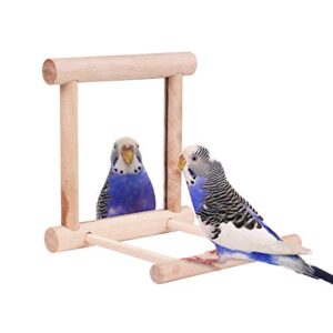 HAPPTYTOY Bird Toy for Parrot Parakeets Conures Cockatiels Cage Swing Wooden Fun Play Toy for Birds (Mirror)