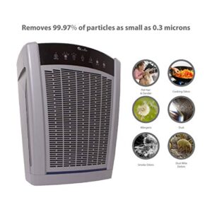 LivePure Bali Series Multi-Room Whole House Large Console Air Purifier, True HEPA Filter Captures Allergens, Smoke, Mold, Pollen, Dust Mites, Graphite