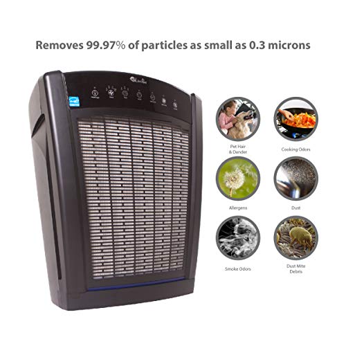 LivePure Bali Series Multi-Room Whole House Large Console Air Purifier, True HEPA Filter Captures Allergens, Smoke, Mold, Pollen, Dust Mites, Slate Black