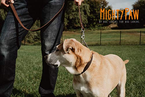 Mighty Paw Leather Martingale Dog Collar | Premium No Pull Dog Collar Martingale Collar for Dogs, Stainless Steel Chain, Limited Chain Cinch Training Collar. for Large, Medium and Small Dogs (Brown)