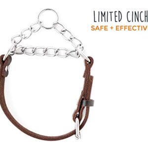 Mighty Paw Leather Martingale Dog Collar | Premium No Pull Dog Collar Martingale Collar for Dogs, Stainless Steel Chain, Limited Chain Cinch Training Collar. for Large, Medium and Small Dogs (Brown)