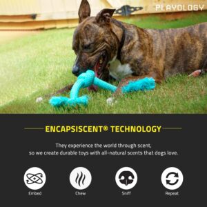 Playology Dri Tech Rope Dog Chew Toy - for Medium Dogs (15-35lbs) Peanut Butter Scented Dog Toys for Heavy Chewers - Engaging, All-Natural, Interactive and Non-Toxic