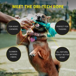 Playology Dri Tech Rope Dog Chew Toy - for Medium Dogs (15-35lbs) Peanut Butter Scented Dog Toys for Heavy Chewers - Engaging, All-Natural, Interactive and Non-Toxic
