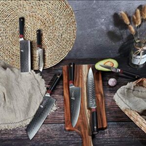 TUO Damascus Chef's Knife - Kitchen Chef Knives - Japanese AUS-10 Damascus Steel - Dishwasher Safe G10 Handle - Gift Case Included - RING-RC Series TC0301RC - 8"