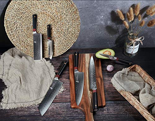 TUO Damascus Chef's Knife - Kitchen Chef Knives - Japanese AUS-10 Damascus Steel - Dishwasher Safe G10 Handle - Gift Case Included - RING-RC Series TC0301RC - 8"