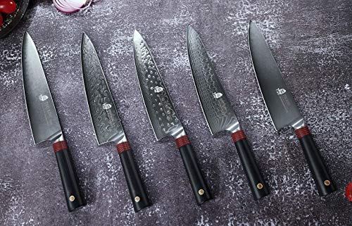 TUO Damascus Chef's Knife - Kitchen Chef Knives - Japanese AUS-10 Damascus Steel - Dishwasher Safe G10 Handle - Gift Case Included - RING-RC Series TC0301RC - 8"