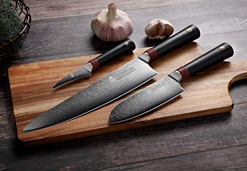 TUO Damascus Chef's Knife - Kitchen Chef Knives - Japanese AUS-10 Damascus Steel - Dishwasher Safe G10 Handle - Gift Case Included - RING-RC Series TC0301RC - 8"