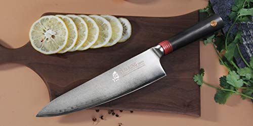 TUO Damascus Chef's Knife - Kitchen Chef Knives - Japanese AUS-10 Damascus Steel - Dishwasher Safe G10 Handle - Gift Case Included - RING-RC Series TC0301RC - 8"