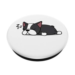 Cute Funny Boston Terrier Dog Puppy Animal Lover Design Gift PopSockets PopGrip: Swappable Grip for Phones & Tablets