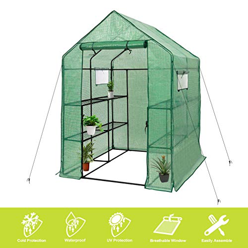 Deluxe Green House 56" W x 56" D x 77" H,Walk in Outdoor Plant Gardening Greenhouse 2 Tiers 8 Shelves - Window and Anchors Include!(Green)