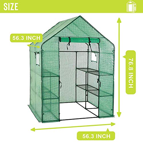 Deluxe Green House 56" W x 56" D x 77" H,Walk in Outdoor Plant Gardening Greenhouse 2 Tiers 8 Shelves - Window and Anchors Include!(Green)