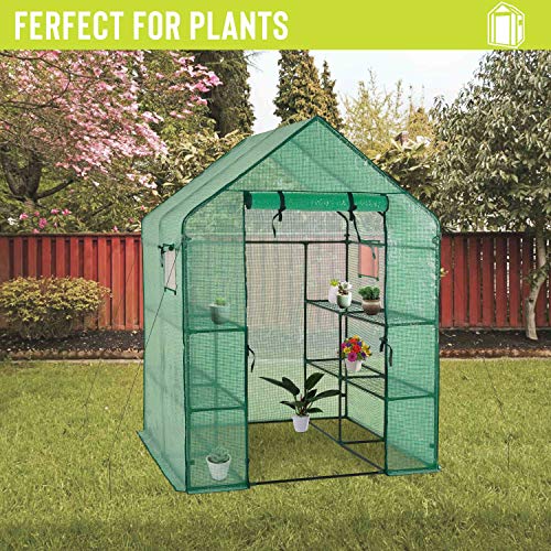 Deluxe Green House 56" W x 56" D x 77" H,Walk in Outdoor Plant Gardening Greenhouse 2 Tiers 8 Shelves - Window and Anchors Include!(Green)