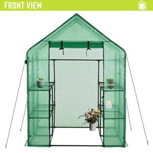 Deluxe Green House 56" W x 56" D x 77" H,Walk in Outdoor Plant Gardening Greenhouse 2 Tiers 8 Shelves - Window and Anchors Include!(Green)