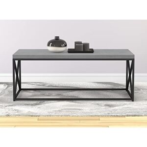 Safdie & Co. Living Room Coffee Coktail Tea Center Table-48 L/Gray Modern Low Table, Grey Cement