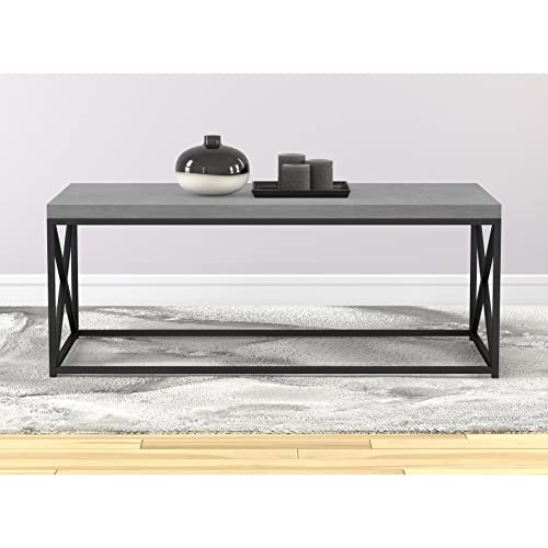 Safdie & Co. Living Room Coffee Coktail Tea Center Table-48 L/Gray Modern Low Table, Grey Cement