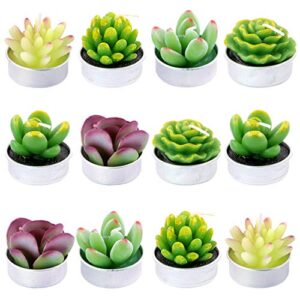 swpeet 12pcs decorative succulent cactus tealight candles kit, cute smokeless succulent plants perfect for candles festival wedding props and house-warming party (n0.8-candle)