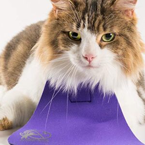 CatBib - Saves Birds, Protects Cats (Small, Turquoise)