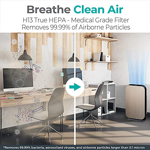 Alen BreatheSmart 45i Quiet HEPA Air Purifier, 800 SqFt Medical Grade Filtration, 99.9% Particle Removal, Allergies, Dust, Mold, Household Odor, Smoke, Long Filter Life, Weathered Gray