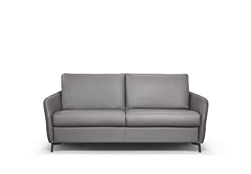 Salottitalia Dodo Sleeper Sofa, Top Grain Italian Leather, Stainless Steel Mechanism (Dark Grey)