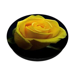 Single Yellow Rose Flower Floral Scene On Black Background PopSockets PopGrip: Swappable Grip for Phones & Tablets