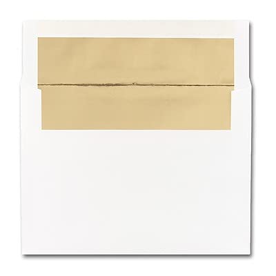 CEO Cards - Foil Stamped Thanksgiving Greeting Cards (Trees Of Autumn), 5.625x7.875 Inches, 25 Cards & 26 White with Gold Foil Lined Envelopes (TH1803)