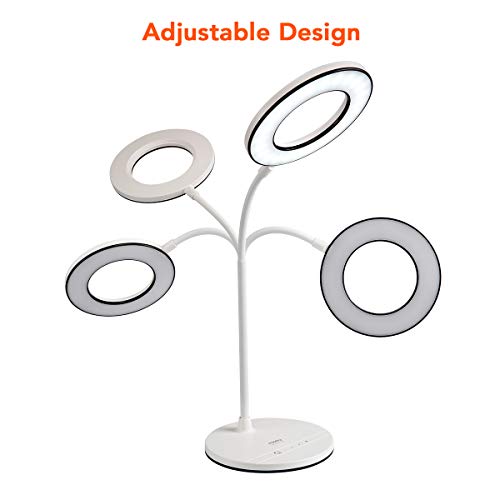 Miady LED Desk Lamp Eye-Caring Table Lamp, 3 Color Modes with 4 Levels of Brightness, Dimmable Office Lamp with Adapter, Touch Control Sensitive, 360° Flexible