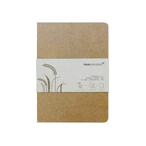 truegrasses hardcover notebook (5x7), flat open, straw + pp, recycled paper, cream (off-white), 70gsm, 160 sheets, grid