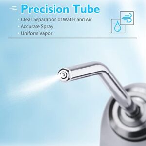 Dental 3 Way Syringe Triple Air Water Spray Syringe with 2 Metal Alloy Tips Tube Nozzles