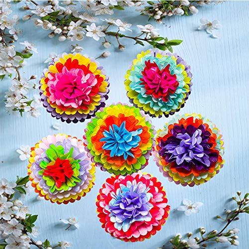 Cinco De Mayo Decorations Fiesta Tissue Pom Paper Flowers - Mexican Carnival Rainbow Theme Party Supplies 16" (Set of 12)