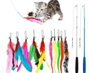 jiaron cat toys feather toy, 2pcs retractable cat wand toys and 10pcs replacement teaser with bell refills, interactive catcher teaser and funny exercise for kitten or cats.