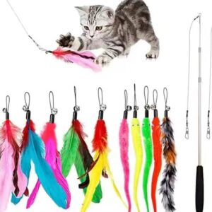 JIARON Cat Toys Feather Toy, 2PCS Retractable Cat Wand Toys and 10PCS Replacement Teaser with Bell Refills, Interactive Catcher Teaser and Funny Exercise for Kitten or Cats.