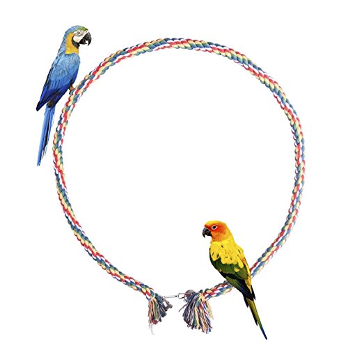 Litewood Bird Cotton Rope Perch Swing Bird Perch Chew Toy for Parrot African Greys Macaw Eclectus Cockatoo Alexandrine Amazon Cage Swing Stand with Bells (M 59 INCH)