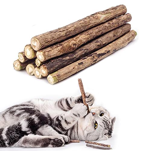 WoLover Cat Catnip Sticks Natural Matatabi Silvervine Sticks - Cleaning Teeth Molar Tools Kitten Cat Chew Toy Natural Catnip Cat Toy (10 PCS)