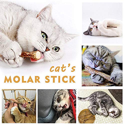 WoLover Cat Catnip Sticks Natural Matatabi Silvervine Sticks - Cleaning Teeth Molar Tools Kitten Cat Chew Toy Natural Catnip Cat Toy (10 PCS)