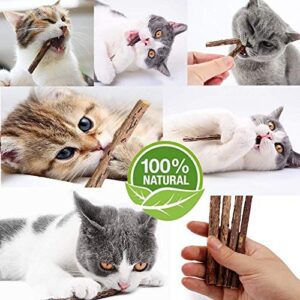 WoLover Cat Catnip Sticks Natural Matatabi Silvervine Sticks - Cleaning Teeth Molar Tools Kitten Cat Chew Toy Natural Catnip Cat Toy (10 PCS)