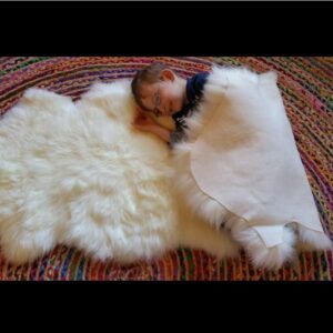 Woolous Sheepskin Rug, New Zealand Large Genuine Natural Lamb Skins Fur Real Sheep Skin Throw Rug for Bedroom and Living Room, (Single Pelt 2x3ft,Ivory)