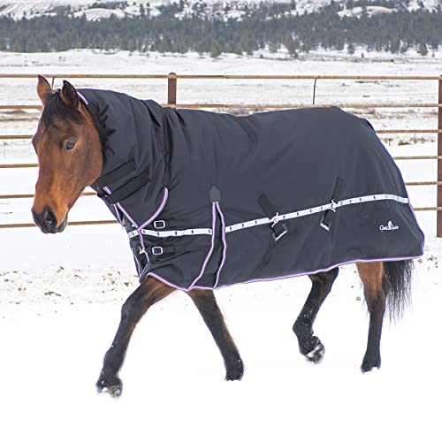 Classic Equine 10K Cross Trainer Winter Blanket with Hood, Black, Large