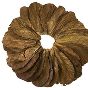 Awesome Aquatic Betta / Shrimp Leaves 50 4"-6" Premium Catappa Indian Almond Leaves Natural Habitat Tannin Producing Improves Immunity, Easy to USE