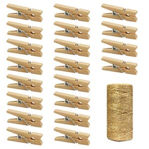 mini natural wooden clothespins with jute twine, 250pcs, 1 inch photo paper peg pin craft clips with 66ft natural twine for scrapbooking, arts & crafts, hanging photos (natural color)