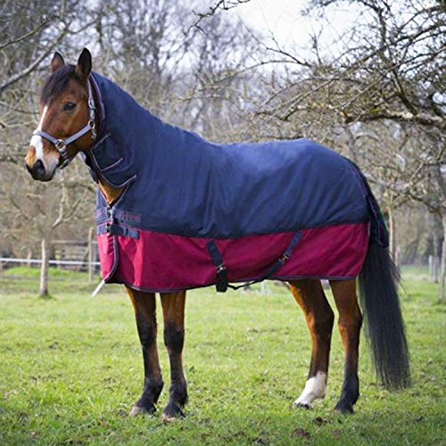 LOVEPET High-end Extra-Thick Windproof and Rainproof Winter Horse Blanket, 600D Oxford Cloth, Filled with 320g Cotton