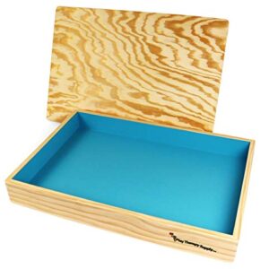 PlayTherapySupply Basic Wooden Sandtray with Lid