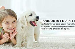 Fizzion Pet Stain and Odor Remover (6 Tablets, Original)