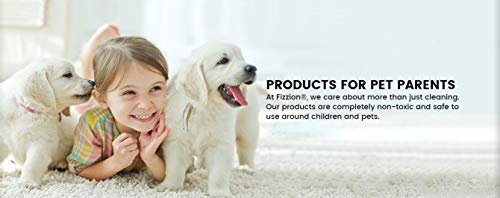 Fizzion Pet Stain and Odor Remover (6 Tablets, Original)