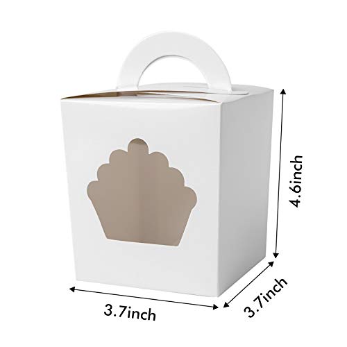 ONE MORE Individual Cupcake Containers,Large Single Cupcake Boxes Carrier with Insert & Handles and PVC Window For Birthday Party(White 15)