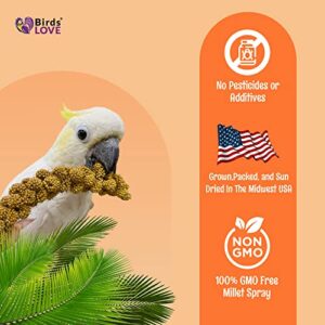 Birds LOVE Wholesome & Lovely Spray Millet GMO Free No Pesticide (No Stems Only Edible Tops) for Parrots Birds Cockatiel Lovebird Parakeet Finch Canary All Parrots Healthy Treat-1lb…