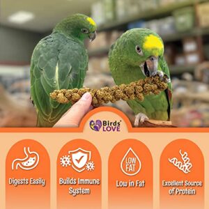 Birds LOVE Wholesome & Lovely Spray Millet GMO Free No Pesticide (No Stems Only Edible Tops) for Parrots Birds Cockatiel Lovebird Parakeet Finch Canary All Parrots Healthy Treat-1lb…